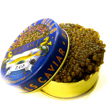 Buy Russian Osetra Caviar in North Dakota Osetra Caviar Best Black Caviar Russian Osetra Caviar Ossetra Caviar 